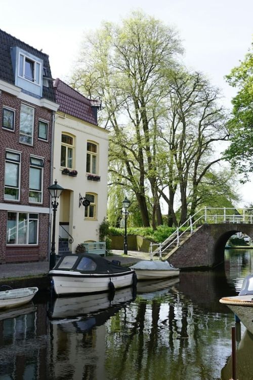 Zonnepanelen Alkmaar
